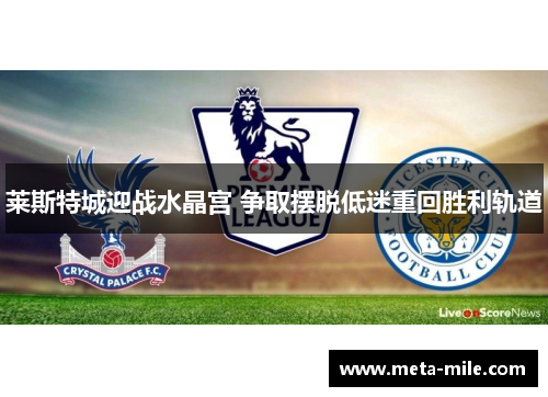 莱斯特城迎战水晶宫 争取摆脱低迷重回胜利轨道