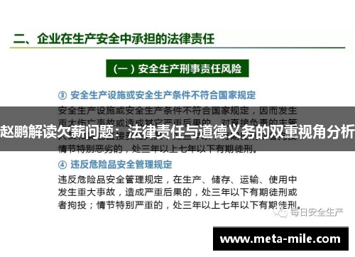 赵鹏解读欠薪问题：法律责任与道德义务的双重视角分析
