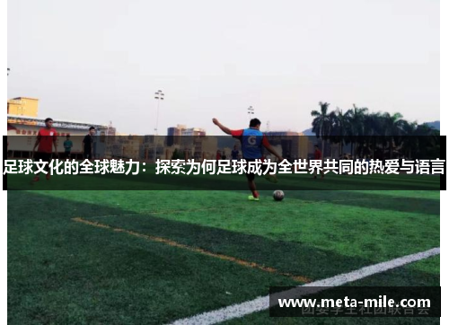 足球文化的全球魅力：探索为何足球成为全世界共同的热爱与语言