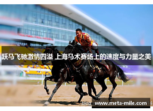 跃马飞驰激情四溢 上海马术赛场上的速度与力量之美
