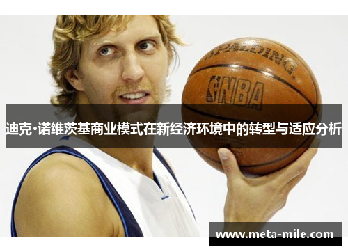 迪克·诺维茨基商业模式在新经济环境中的转型与适应分析