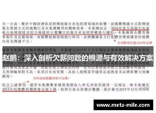 赵鹏：深入剖析欠薪问题的根源与有效解决方案