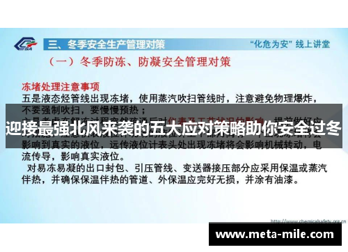 迎接最强北风来袭的五大应对策略助你安全过冬