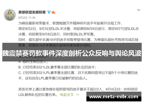 魏震禁赛罚款事件深度剖析公众反响与舆论风波