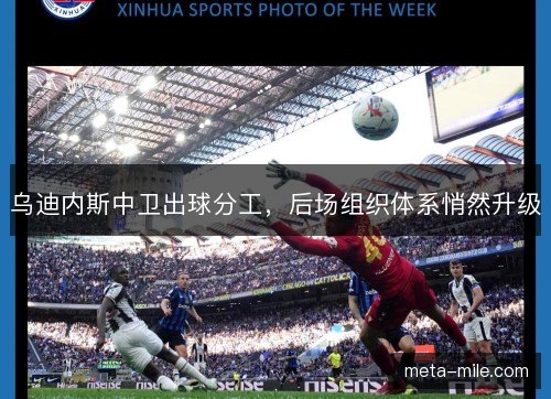 乌迪内斯中卫出球分工，后场组织体系悄然升级